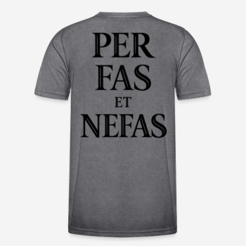 Preview: PER FAS ET NEFAS Regular T-Shirt in grau mit Rückendruck